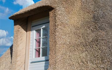 Long Meadow thatch roof disadvantages