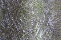 Long Meadow fibreglass roof work